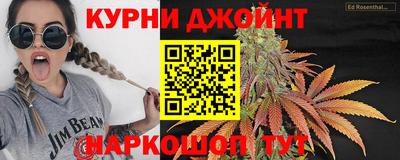 гашик Волжский