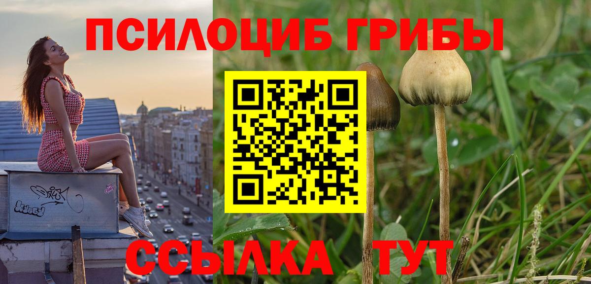 Советск  Псилоцибиновые грибы Magic Shrooms  Вход с VPN 