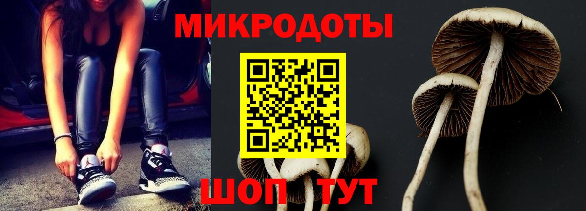 Галлюциногенные грибы мицелий Советск