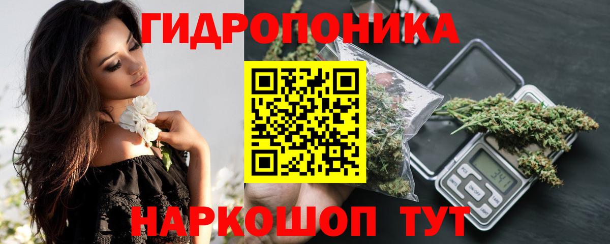 Бошки Шишки SATIVA & INDICA  МАРИХУАНА LSD WEED  Шишки марихуана марихуана  Вход с VPN  Советск  Каннабис THC 21% 